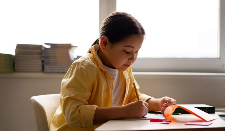 NAPLAN practice tests